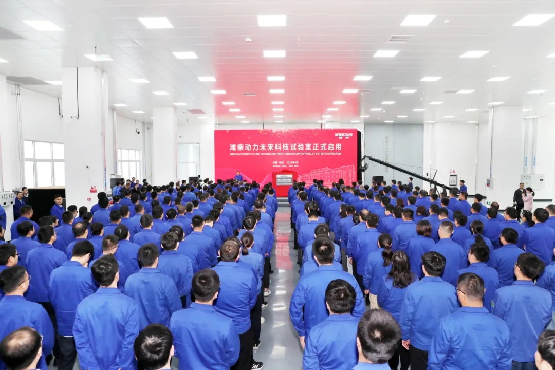 1716020106504265.jpg 龙1.webp.jpg