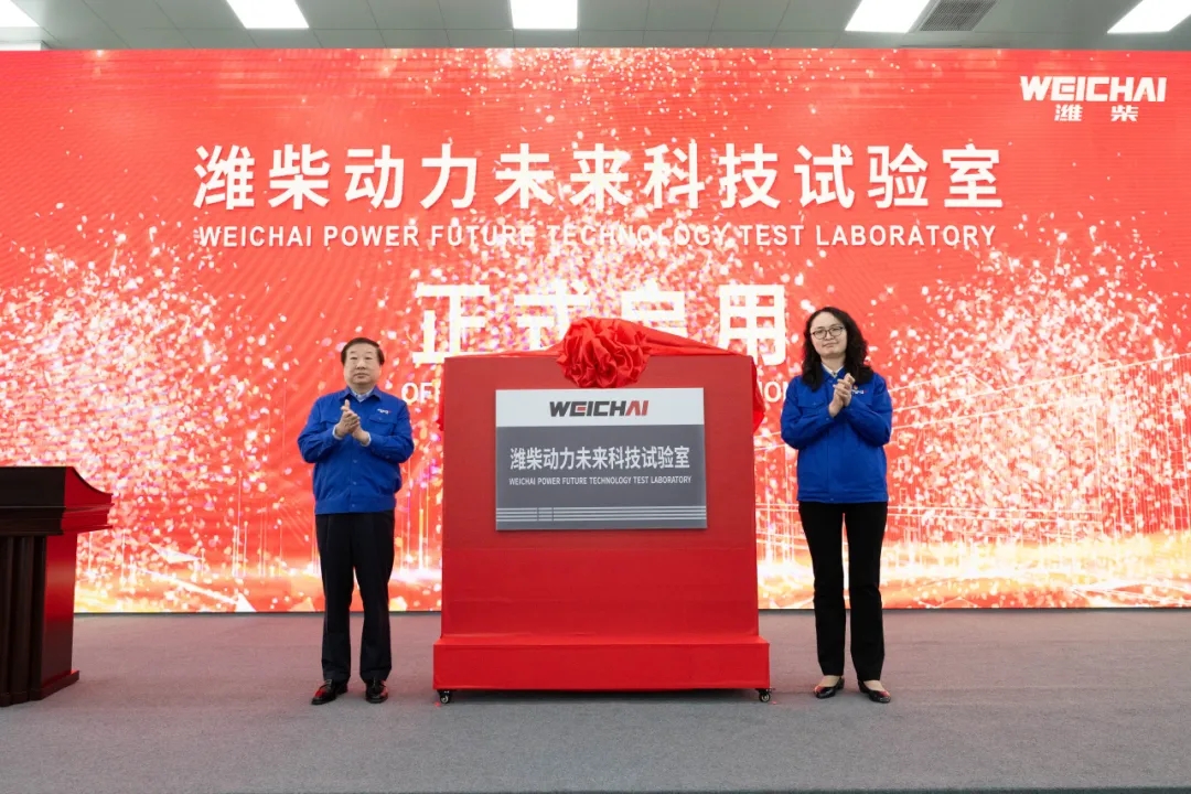 1716020140223330.jpg 龙2.webp.jpg